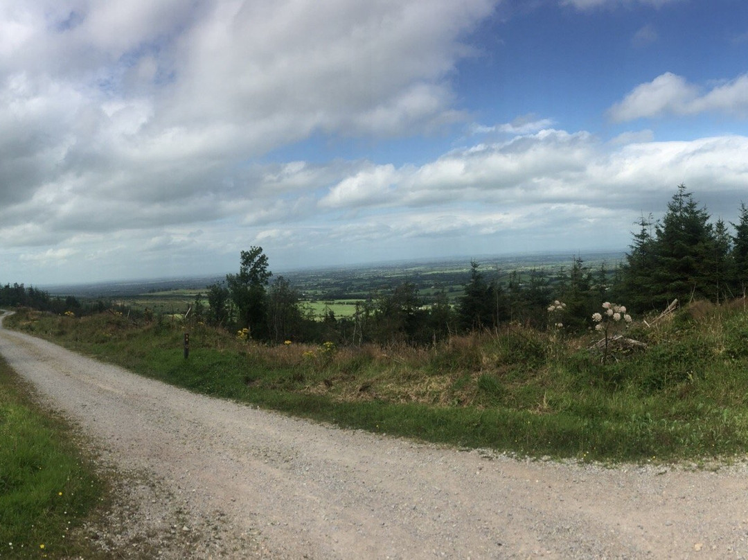 Ballyhoura Walking Trails-利默里克必去景点