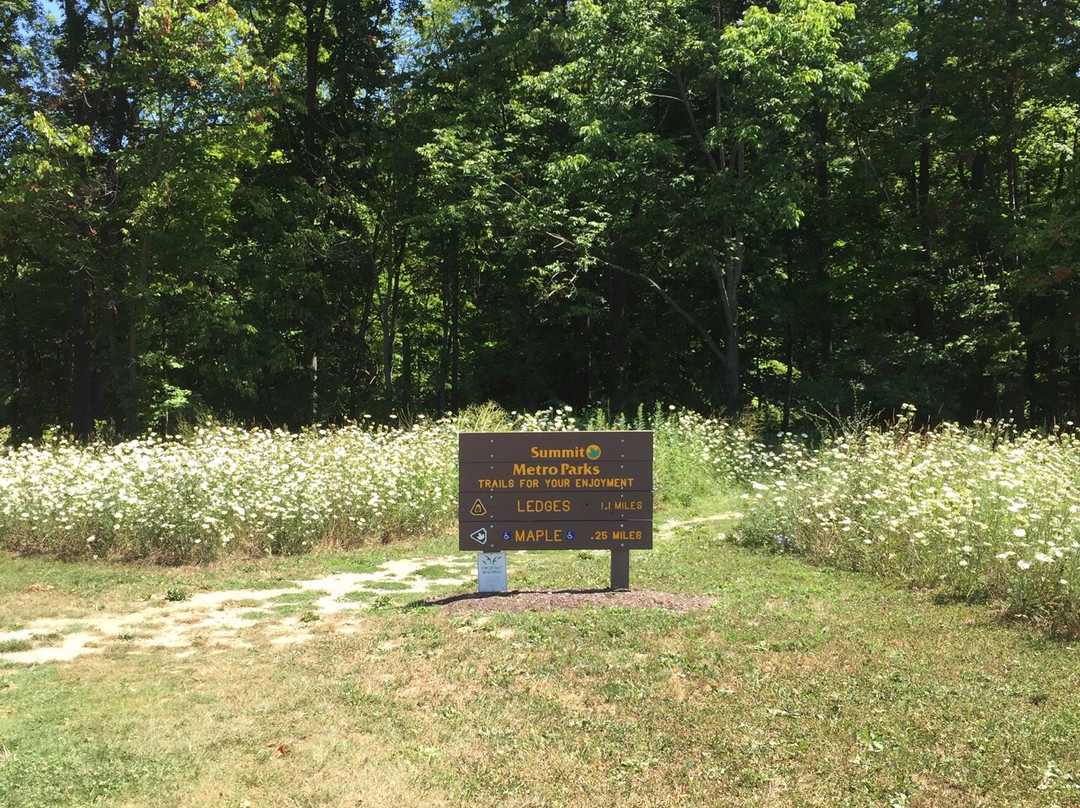 Liberty Park-特温斯堡必去景点