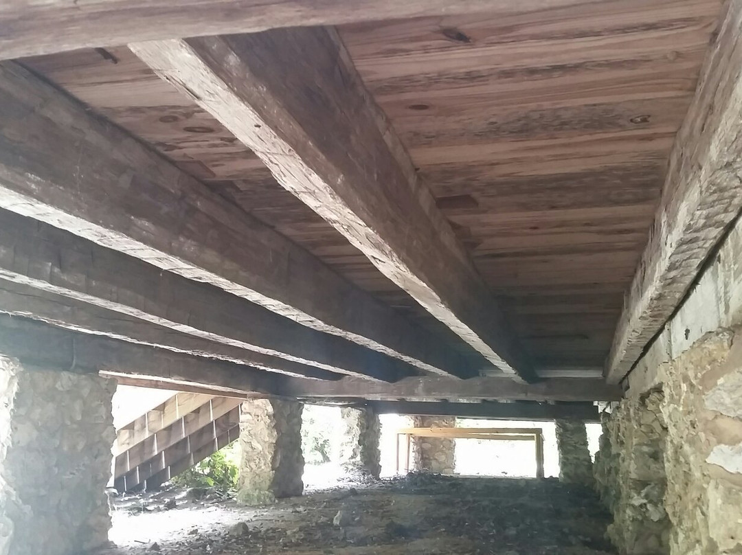 Historic Haile Homestead-盖恩斯维尔必去景点