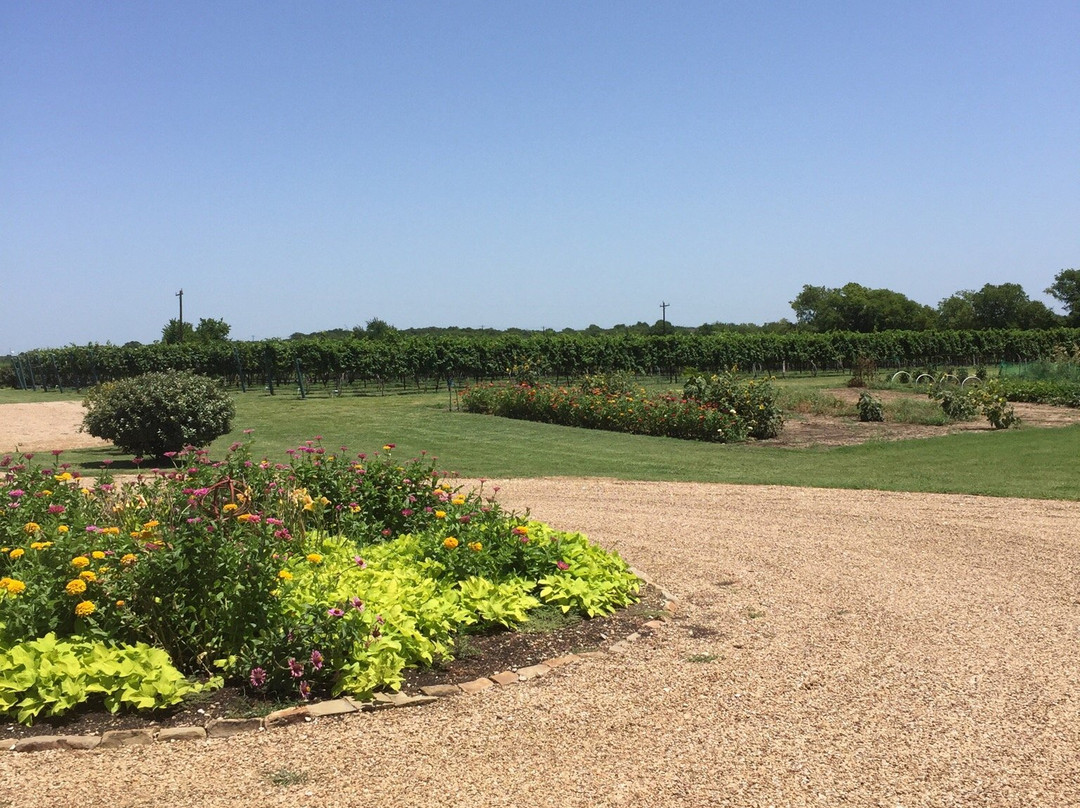 Eden Hill Winery & Vineyard-Celina必去景点