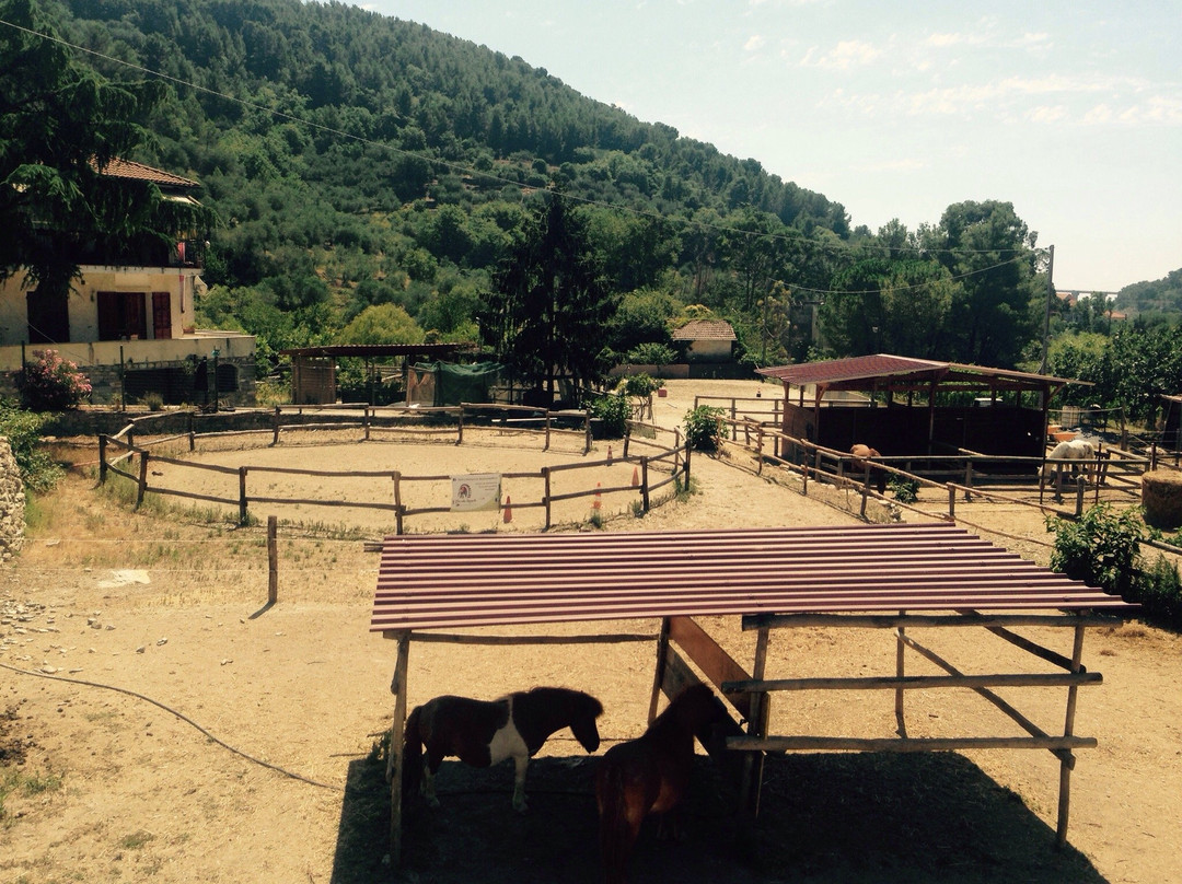 Il Piccolo Ranch