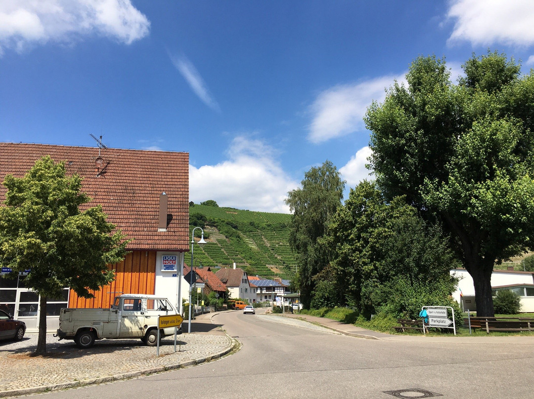 Vaihingen an der Enz旅游攻略图片