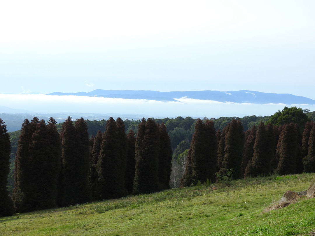 R.J. Hamer Arboretum-奥林达必去景点