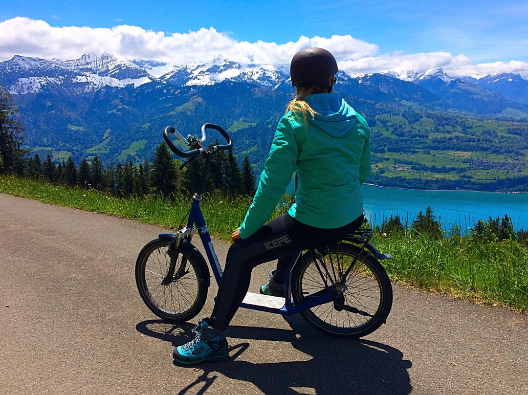 Trotti-Bike Niederhorn-贝阿滕贝格必去景点