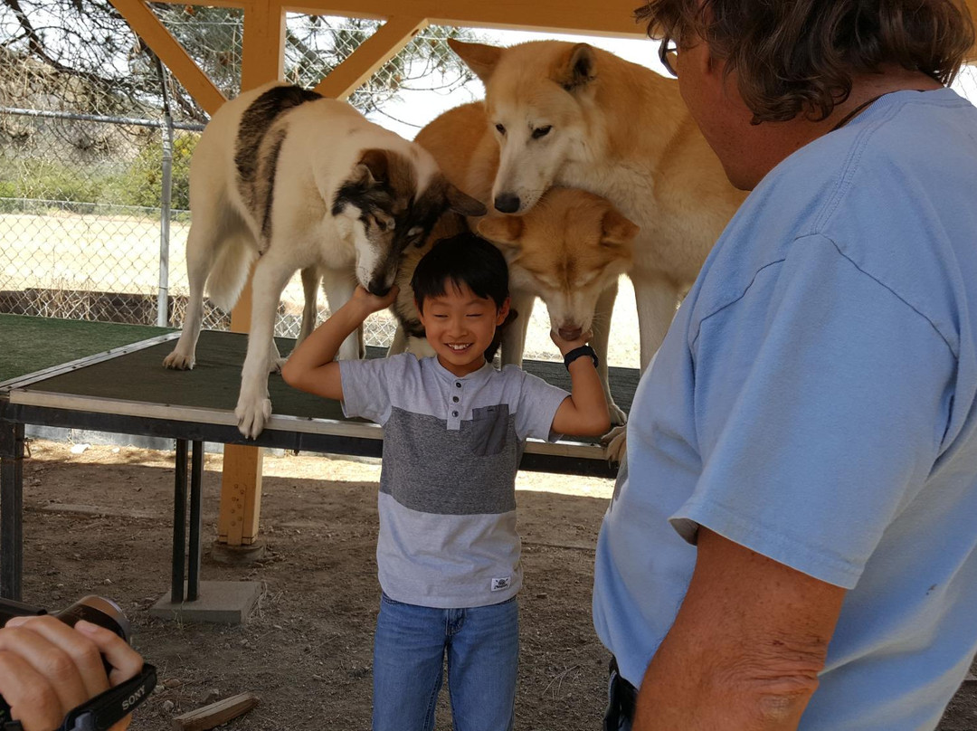 Shadowlands Foundation-Lake Hughes必去景点