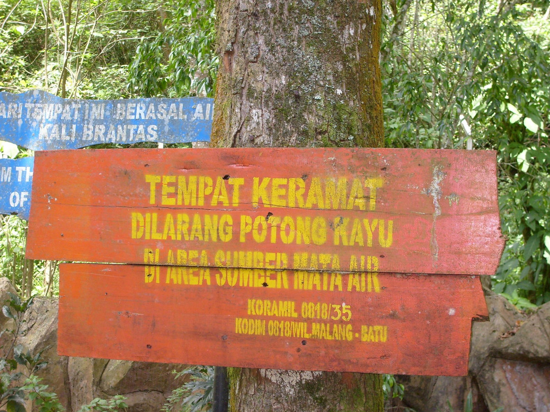 Arboretum Sumber Brantas景点图片