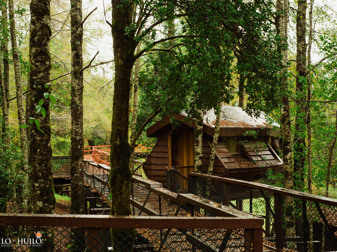 Huilo Huilo Canopy Village