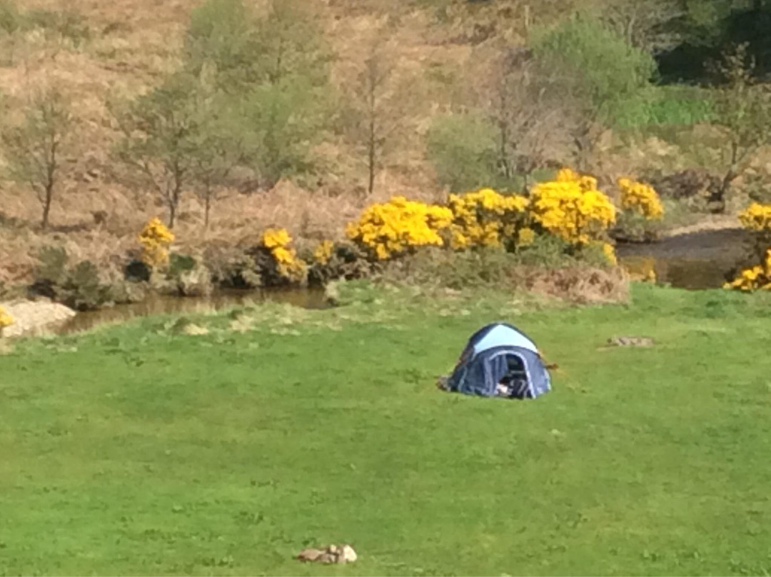 Glen Rosa Campsite