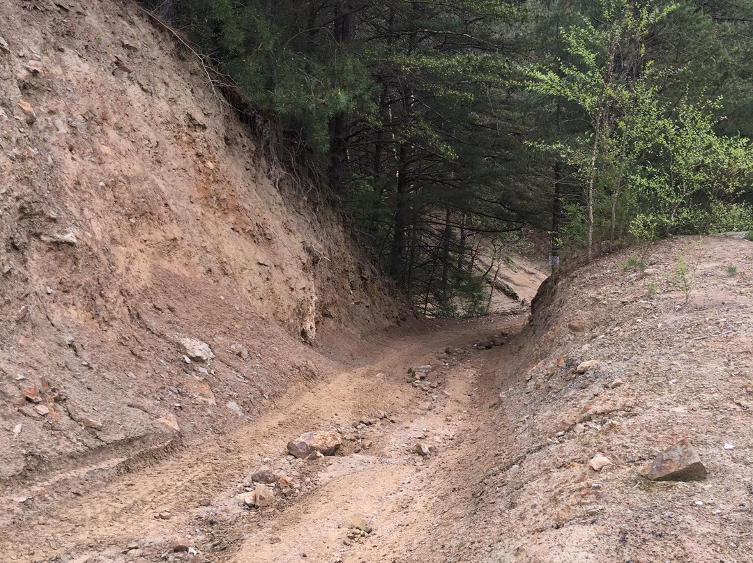 Redbird State Recreation Area-Linton必去景点