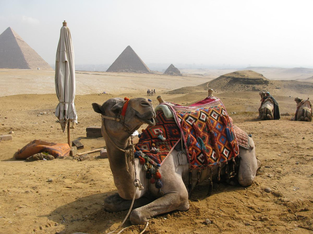 Bucket List Travel - Egypt-吉萨必去景点