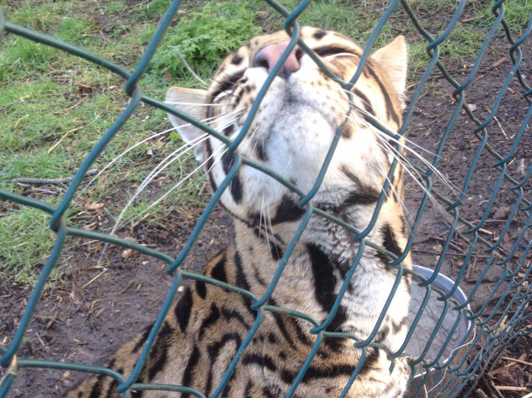 Exotic Pet Refuge景点图片