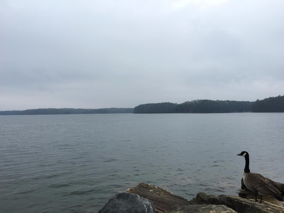 Buford Dam Park-比福德必去景点