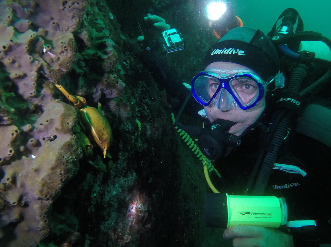 ODC Buceo-Pichidangui必去景点