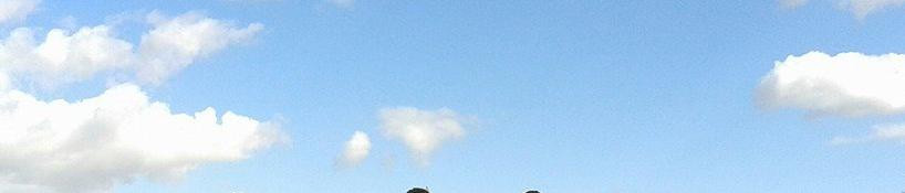 Smisby旅游攻略图片