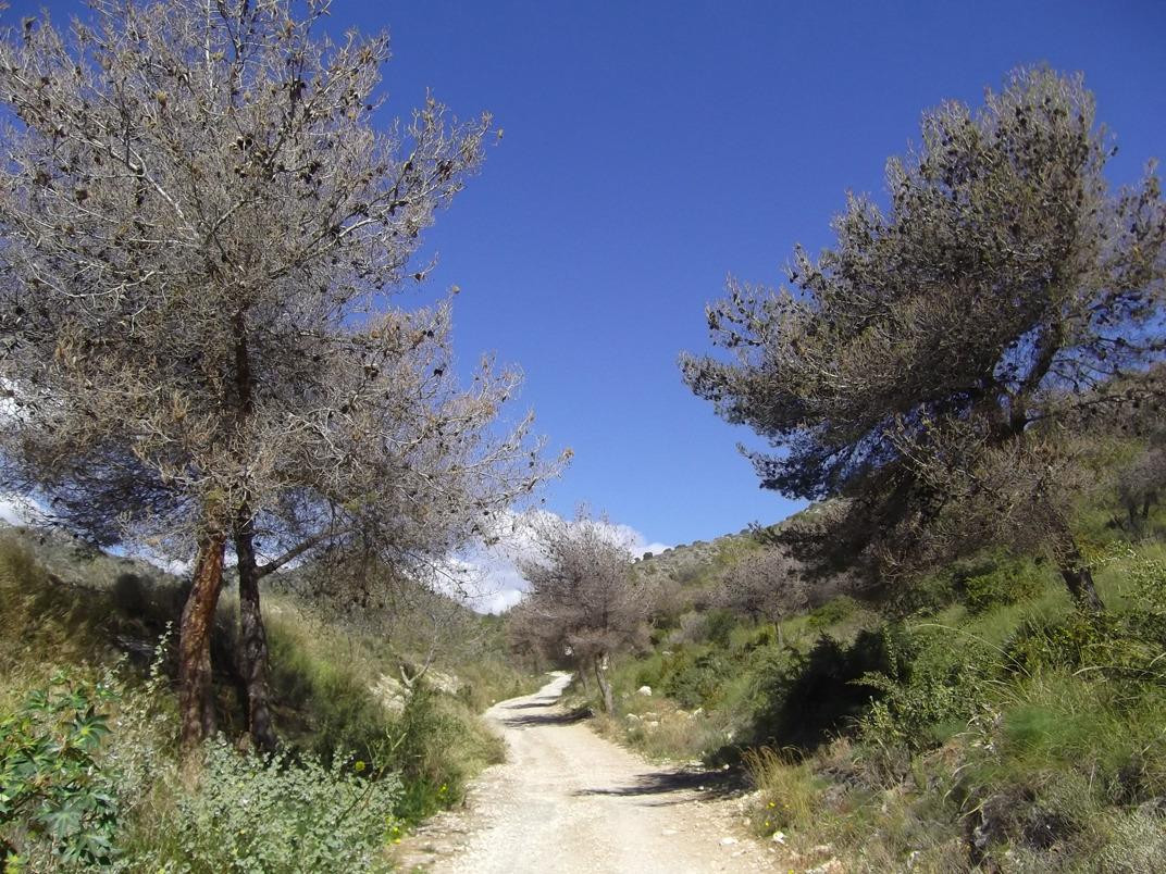 Sierras de Tejeda, Almijara y Alahama景点图片