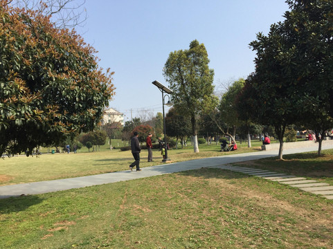 金华凤凰山公园-金华市必去景点