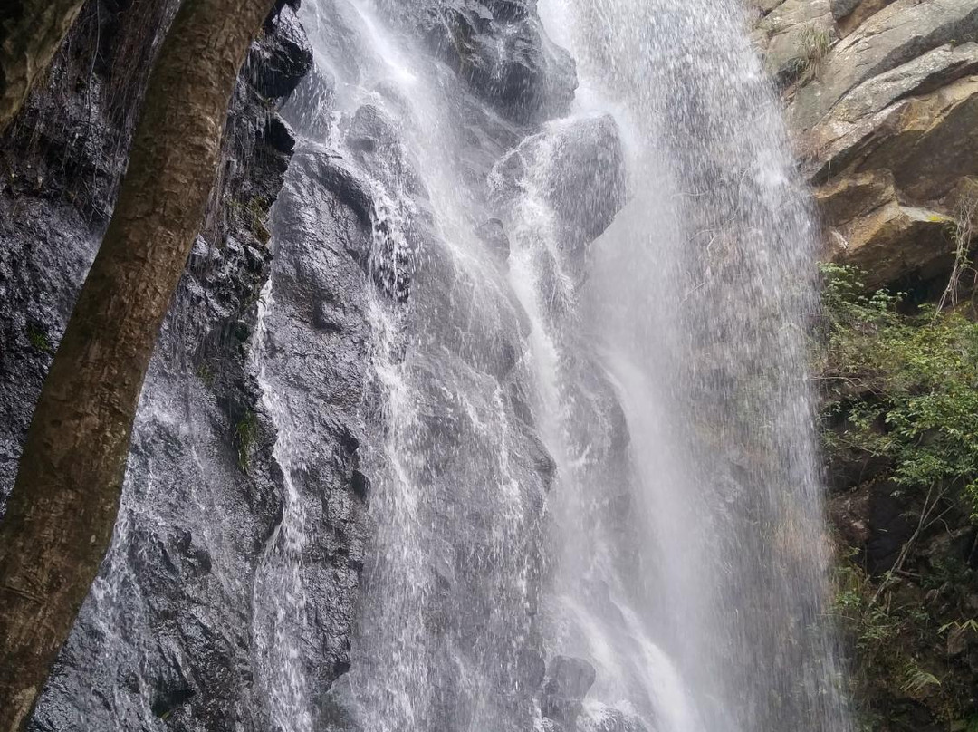马峦山-深圳市必去景点