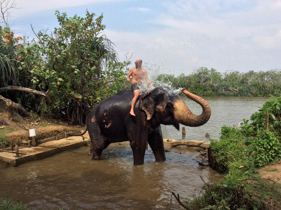 Water For Elephants-Pitiwella必去景点