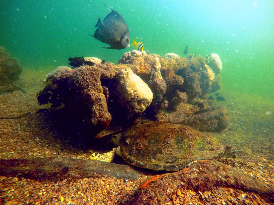 La Mar Campeche Diving & Archaeology-Champoton必去景点