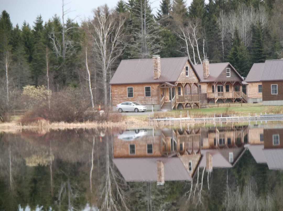 Kokadjo Cabins and Trading Post