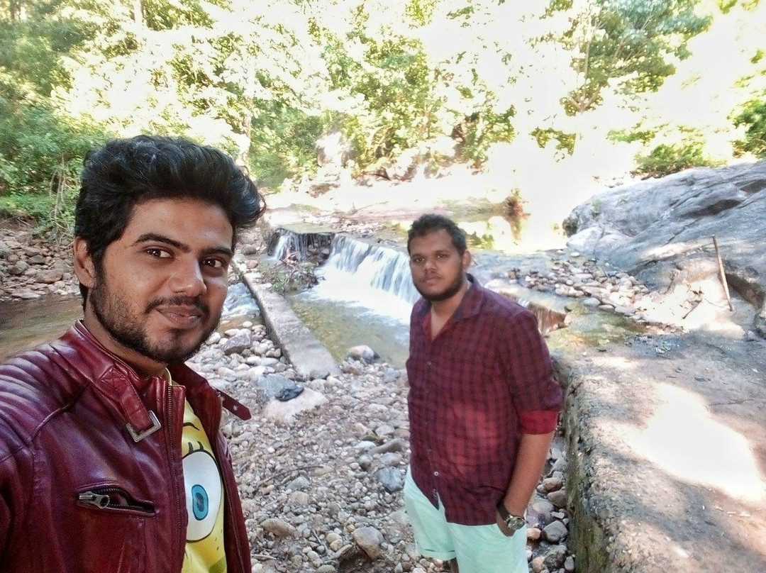 Kumbhavurutty Waterfalls景点图片