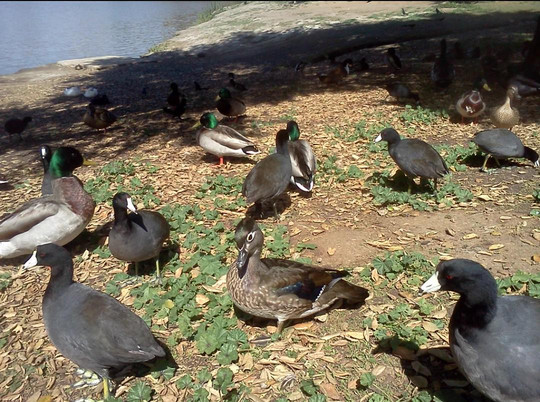 Lindo Lake County Park-Lakeside必去景点