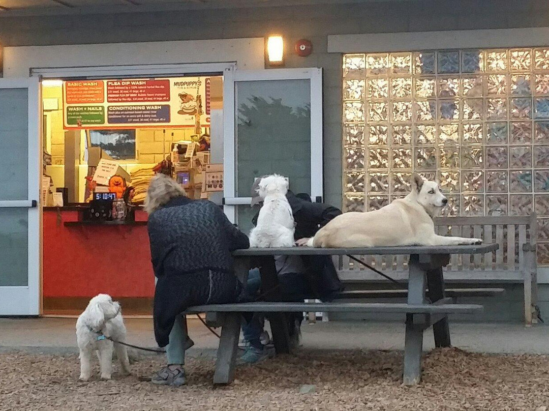 Point Isabel-列治文必去景点