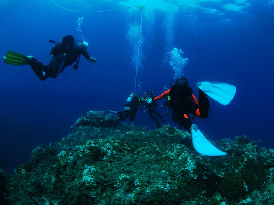 Ischia Diving-伊斯基亚必去景点