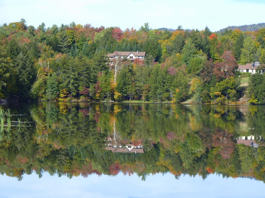 Gifford Woods State Park-基灵顿必去景点