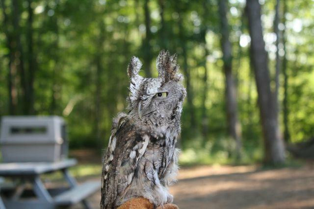 Denison Pequotsepos Nature Center-神秘河必去景点