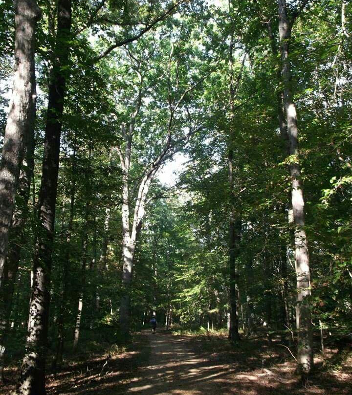 Patuxent Research Refuge - North Tract-Laurel必去景点