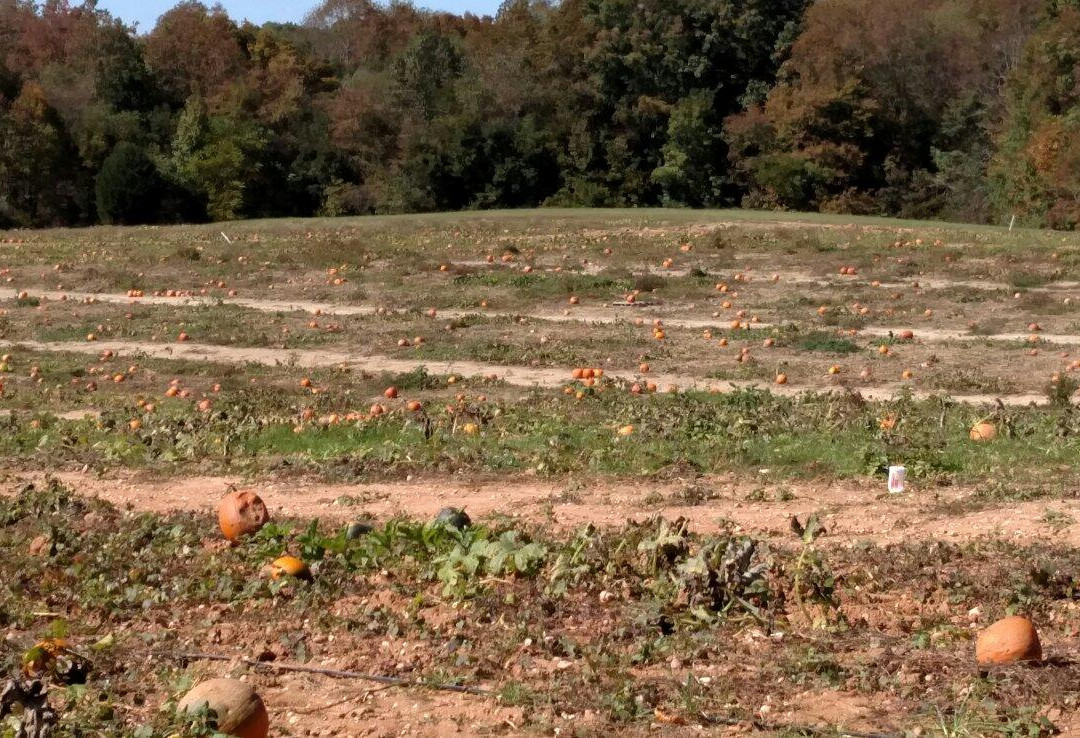 Ashland Berry Farm-Beaverdam必去景点