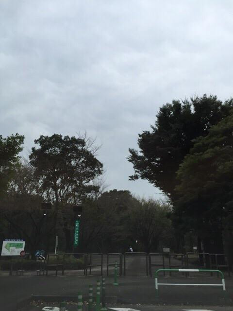 Wako Jurin Park-和光市必去景点