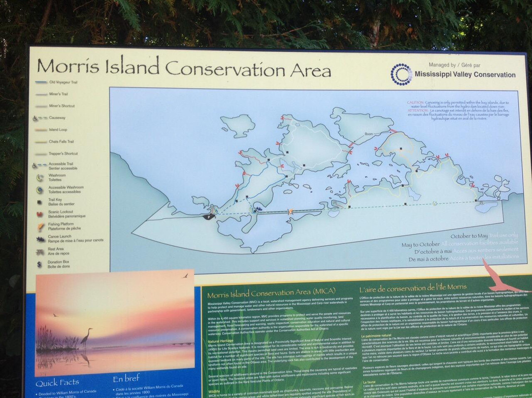 Morris Island Conservation Area景点图片