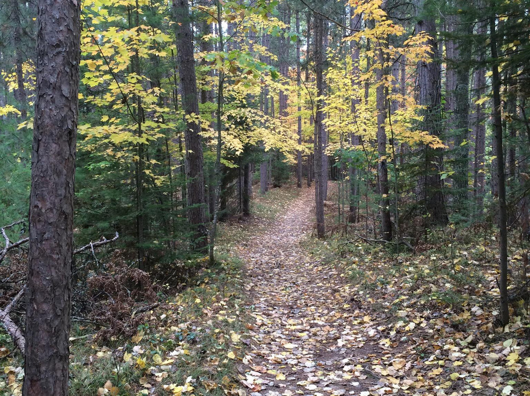 Days River Natural Trail-Gladstone必去景点