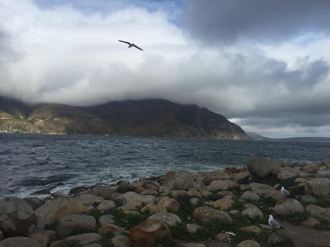Bay Harbour Market-木湾必去景点