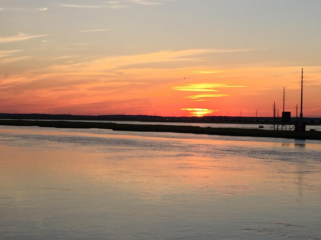 Assateague Island National Seashore-Assateague Island必去景点