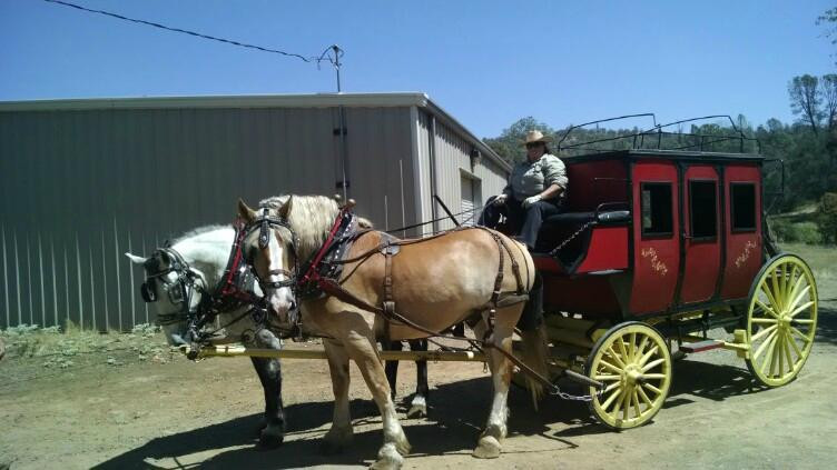 Mariposa Stage Line-马里波萨必去景点