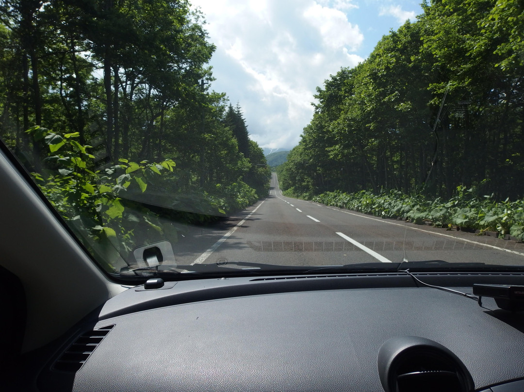Salmon Road-标津町必去景点