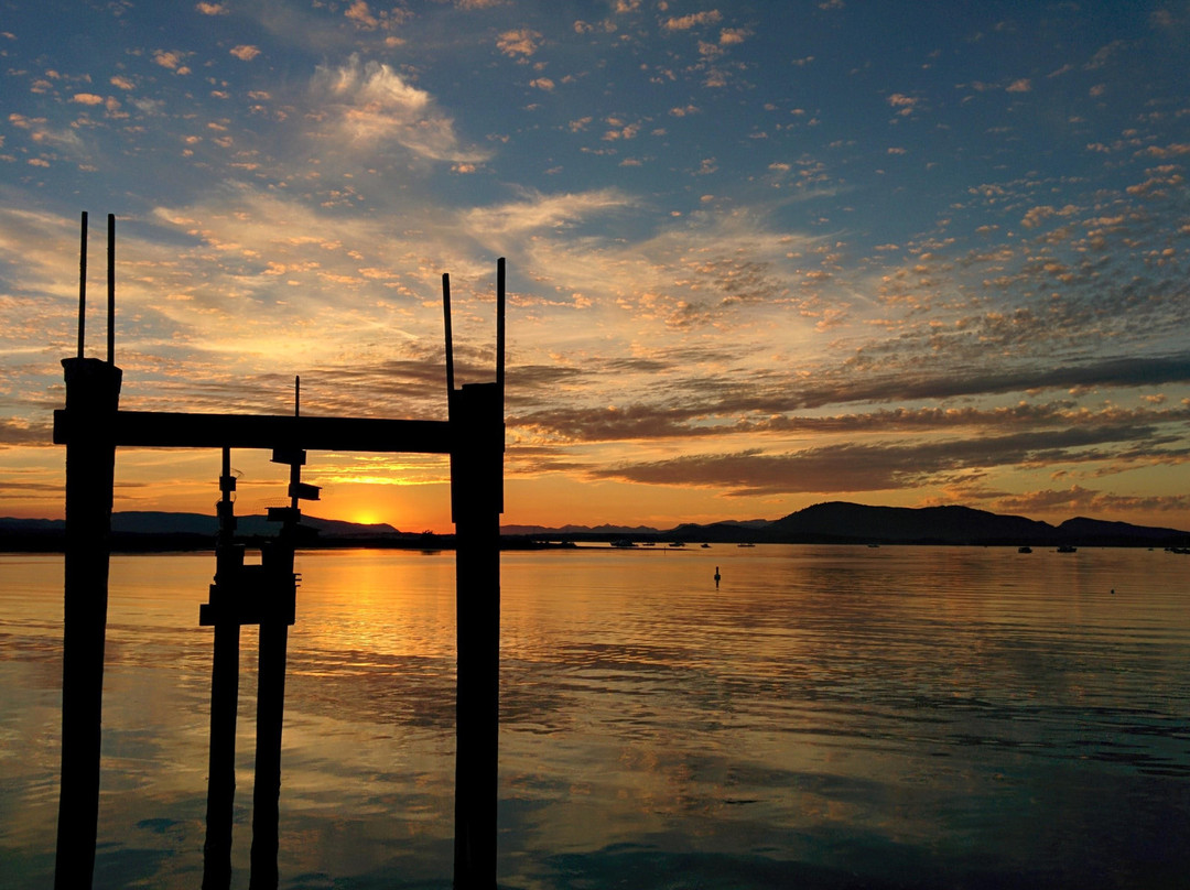 Sidney Spit Marine Park景点图片