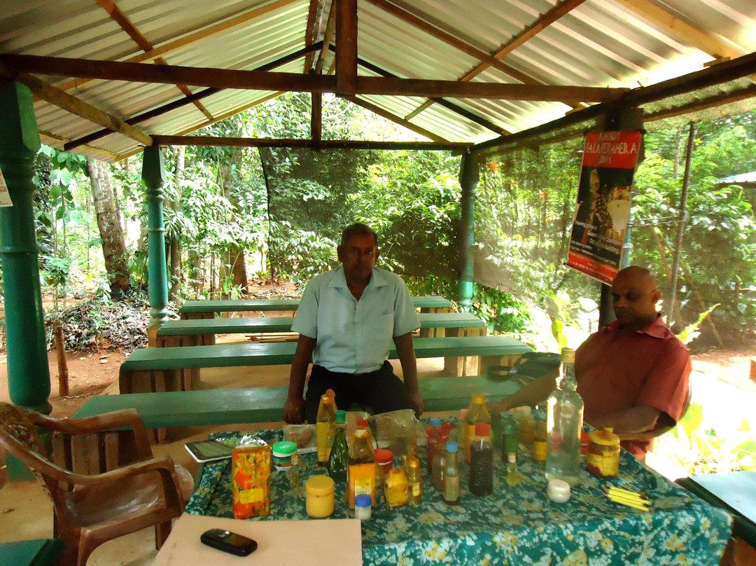 Bogambara旅游景点-Diana Spice Garden