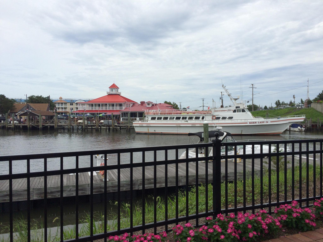 1812 Memorial Park-刘易斯必去景点