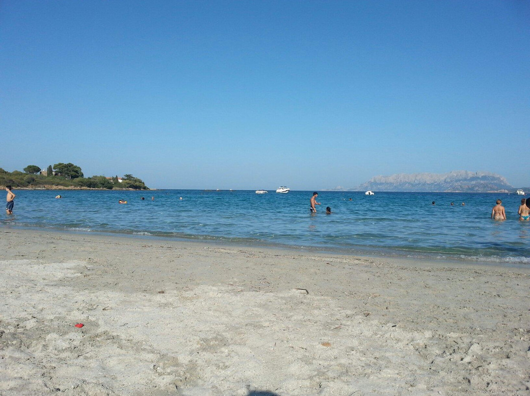 Spiaggia Pittulongu - La Playa-奥尔比亚必去景点
