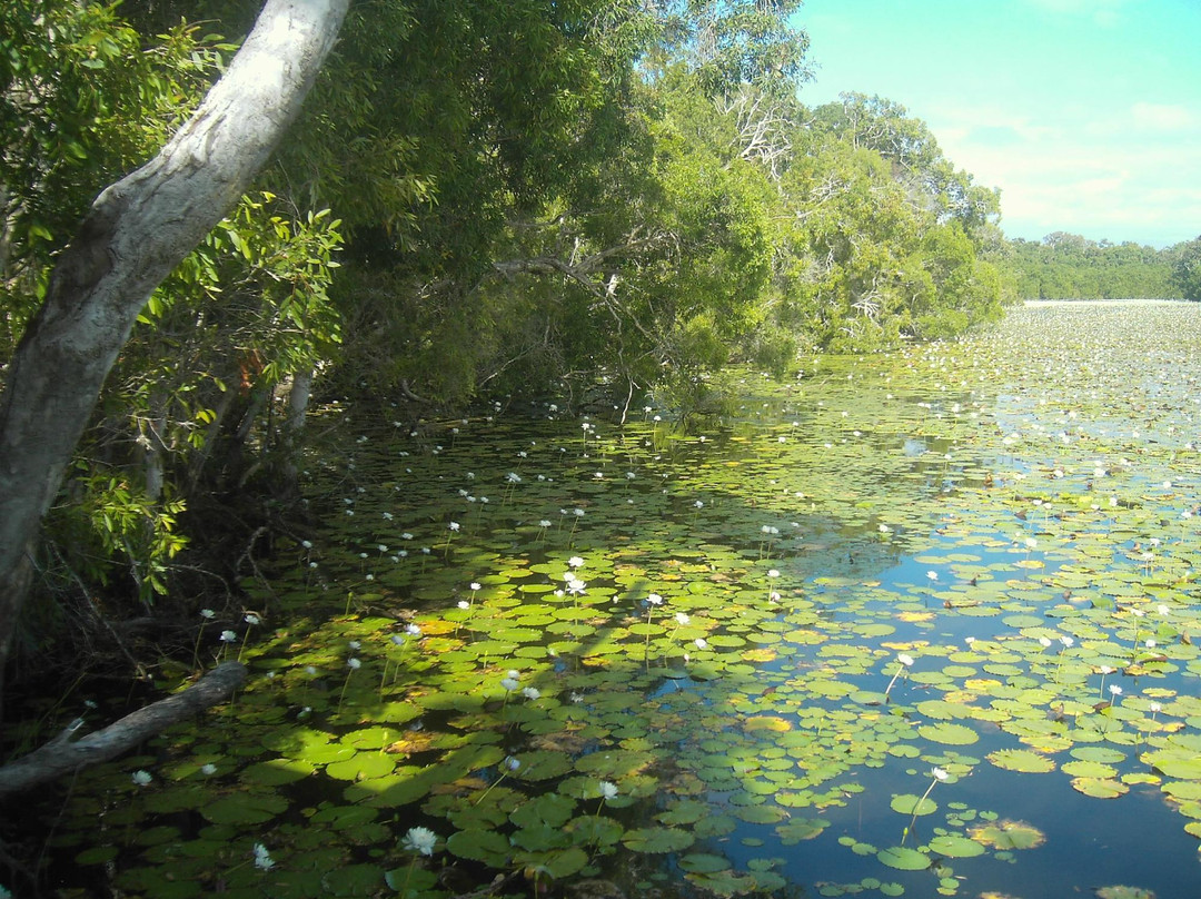 Keating's Lagoon景点图片