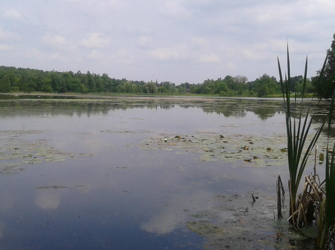 Elora Cataract Trailway-伊劳拉必去景点