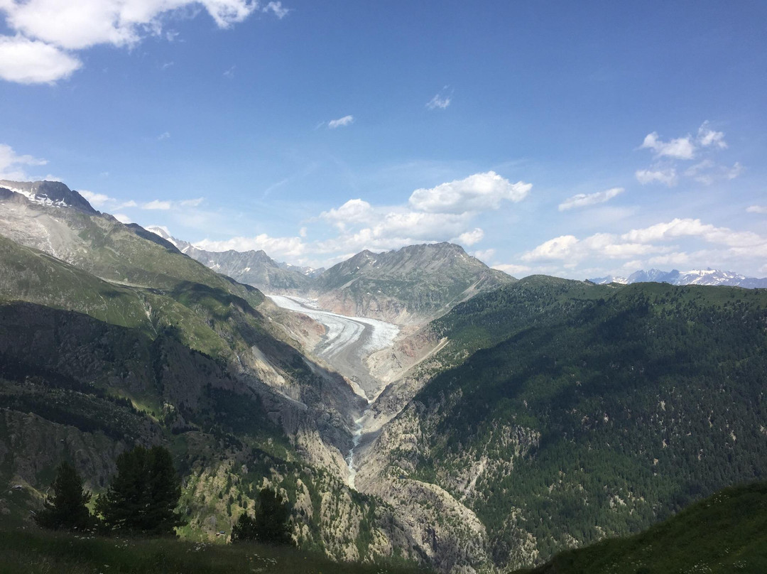 Belalp餐馆和美食-Hotel Restaurant Sparrhorn