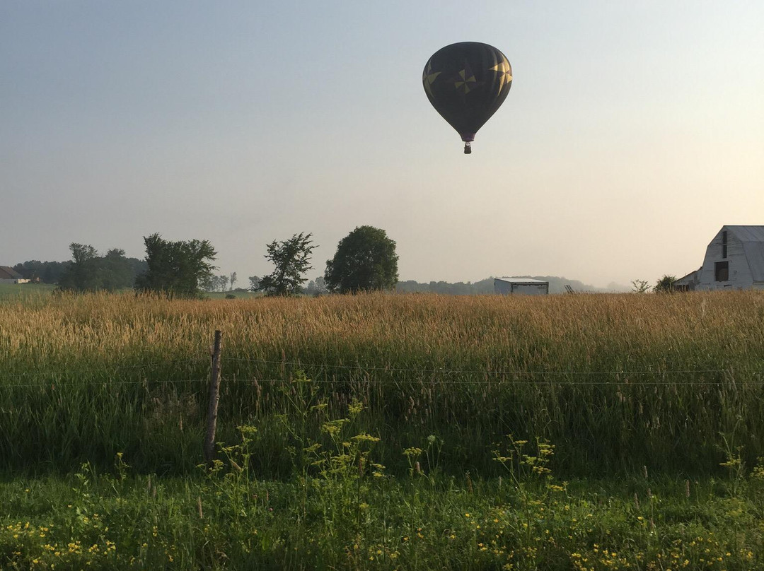 Majestic Balloon Flights景点图片