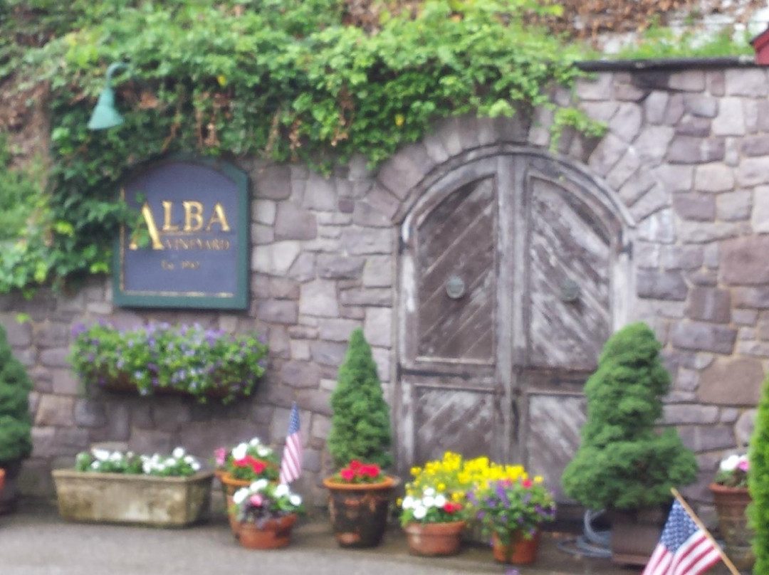 Alba Vineyard景点图片