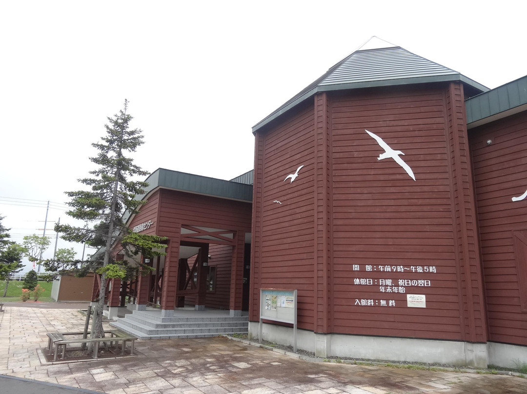 Hokkaido Seabird Center-羽幌町必去景点