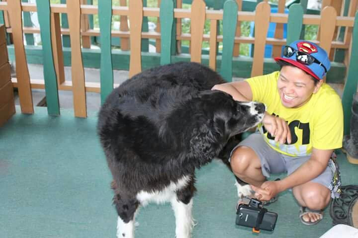 Dunphy's Bed and Breakfast主图